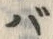 𡨸バ