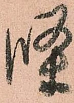 條の位置