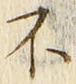 글자 不