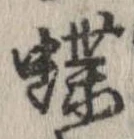 已定位蝶