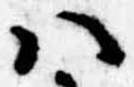 Đã định vị 𛂞