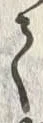 文字請
