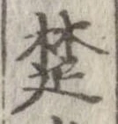 已定位楚