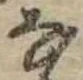 𛂂 위치 확인됨