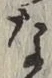 글자 な