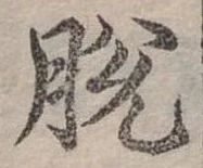 已定位脫