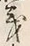 文字義