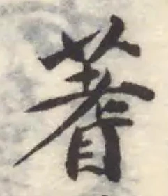 位置 確認된 蓍