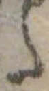 Đã định vị 𛁠