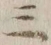 文字三