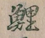 鯉の位置