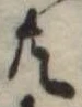 共 위치 확인됨