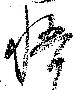 悟 위치 확인됨
