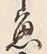 文字魚