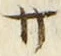 𡨸サ