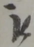 位置定マレル被