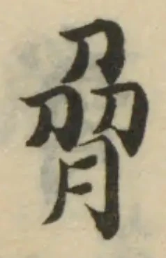 脅の位置