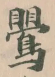 鷪 위치 확인됨