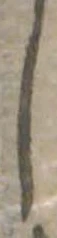 𛁅 위치 확인됨