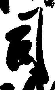 位置定マレル司