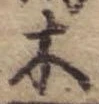 位置 確認된 木