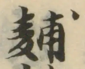 麱の位置
