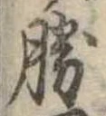 位置定マレル勝