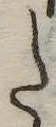 𛁠 위치 확인됨