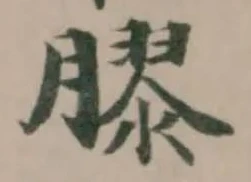 Located 膠