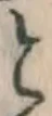 글자 と