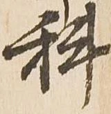 科 위치 확인됨