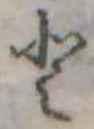 𛁻 위치 확인됨