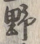 已定位野
