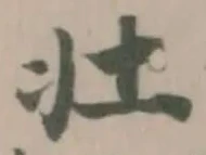 壮の位置