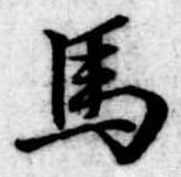 位置定マレル馬