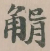 位置 確認된 𧤉