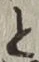 “と”字