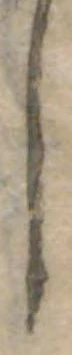 𛁅 위치 확인됨