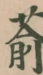 萮の位置