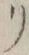 “リ”字