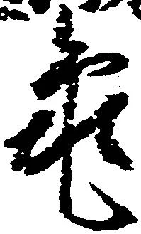 已定位亀