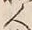 字人