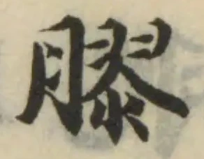 已定位膠