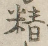 精 위치 확인됨
