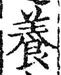 Chữ 養