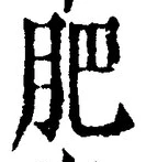 文字肥
