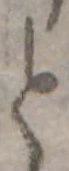 位置 確認된 と