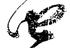 㐌定位由