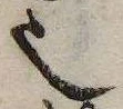 㐌定位𬻿