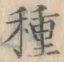글자 種